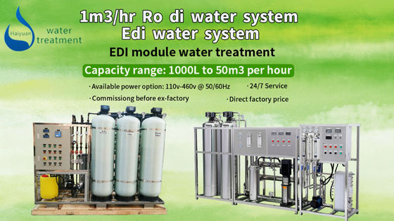 Sistema desmineralizado 1TPH da purificação de EDI Unit For Water Treatment