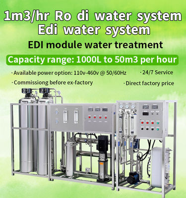 Sistema desmineralizado 1TPH da purificação de EDI Unit For Water Treatment